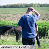 Sajenje-dreves-v-Benici-05