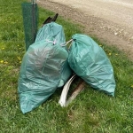 175130990_2216749468462310_5136572427072884636_n