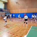 22829351_1462364227144196_7474602115420115362_o