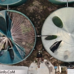 created by dji camera