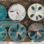 created by dji camera