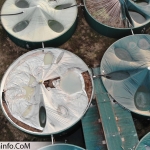 created by dji camera