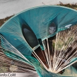 created by dji camera