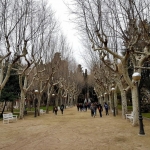 29136339_1598477886866162_2906283770816495616_o