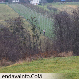 Miklavz-na-Vinariumu-08