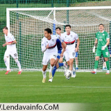 DSC8175