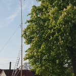 26