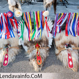 Pustovanje-v-Lendavi-2026-43