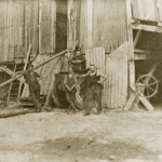 01.1943_Pt-3.petisovci.gml-web