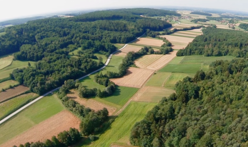 VIDEO: Življenje vrnili 60 ha opuščenih travnikov VIDEO: Življenje vrnili 60 ha opuščenih travnikov