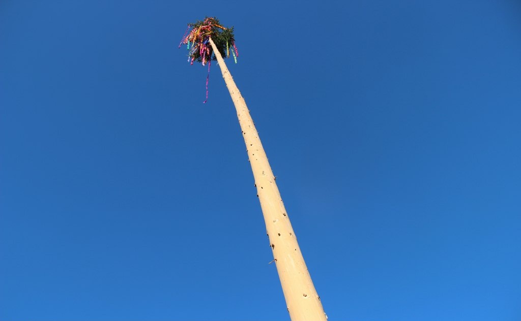 Zakaj postavljamo mlaje in kurimo kresove? Zakaj postavljamo mlaje in kurimo kresove?