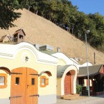 Aktivnosti za vzpostavitev kolesarske poti Mura-Drava-Donava v teku FOTO: Sanacija podora zaključena