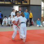 FOTO: Že drugič dišalo po zlevankah FOTO: Lendavski judoisti na Madžarskem in v Novem mestu
