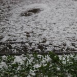 VIDEO, FOTO: Presenetila nas je sodra
