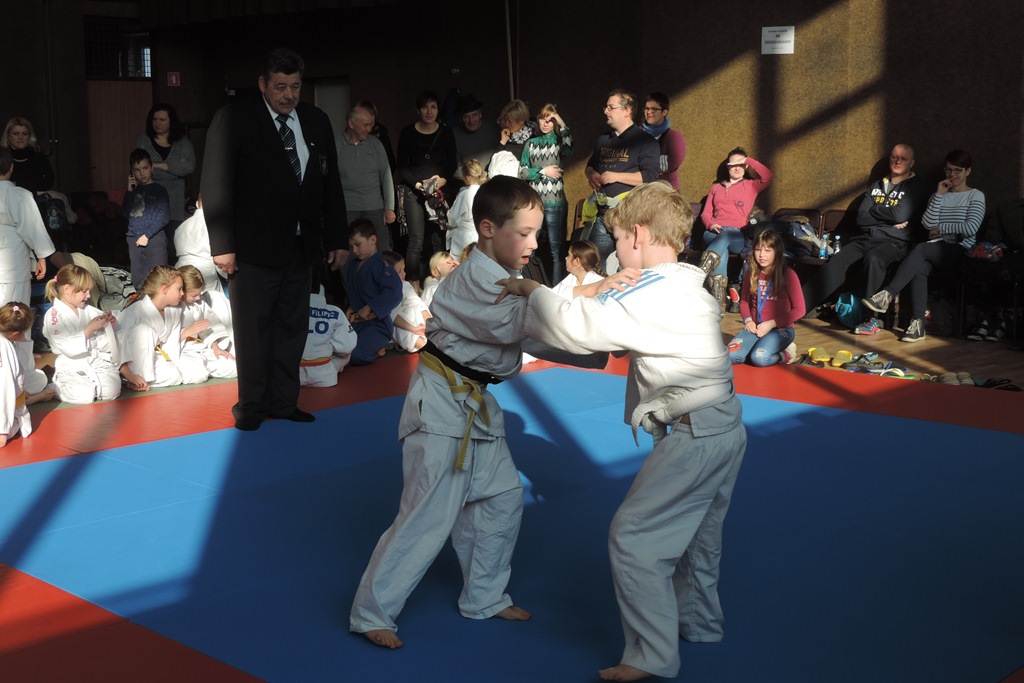 FOTO: Judo klub Lendava z ekipnim tretjim mestom; Tamara Ferencek in Luka Denša med najboljšimi judoisti FOTO: Judo klub Lendava z ekipnim tretjim mestom; Tamara Ferencek in Luka Denša med najboljšimi judoisti