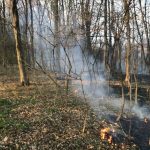 FOTO: V Dolini gorel travnik in podrast v gozdu, posredovali gasilci