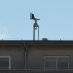 Že pred deveto dopoldan napihal kar 0,90 Monitoring cvetnega prahu v Lendavi v polnem teku