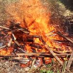 Razglašena velika požarna ogroženost naravnega okolja