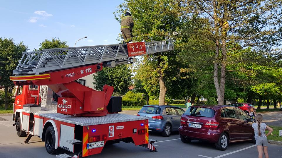 Gornjeradgonski gasilci v Radencih iz drevesa rešili prestrašenega mucka