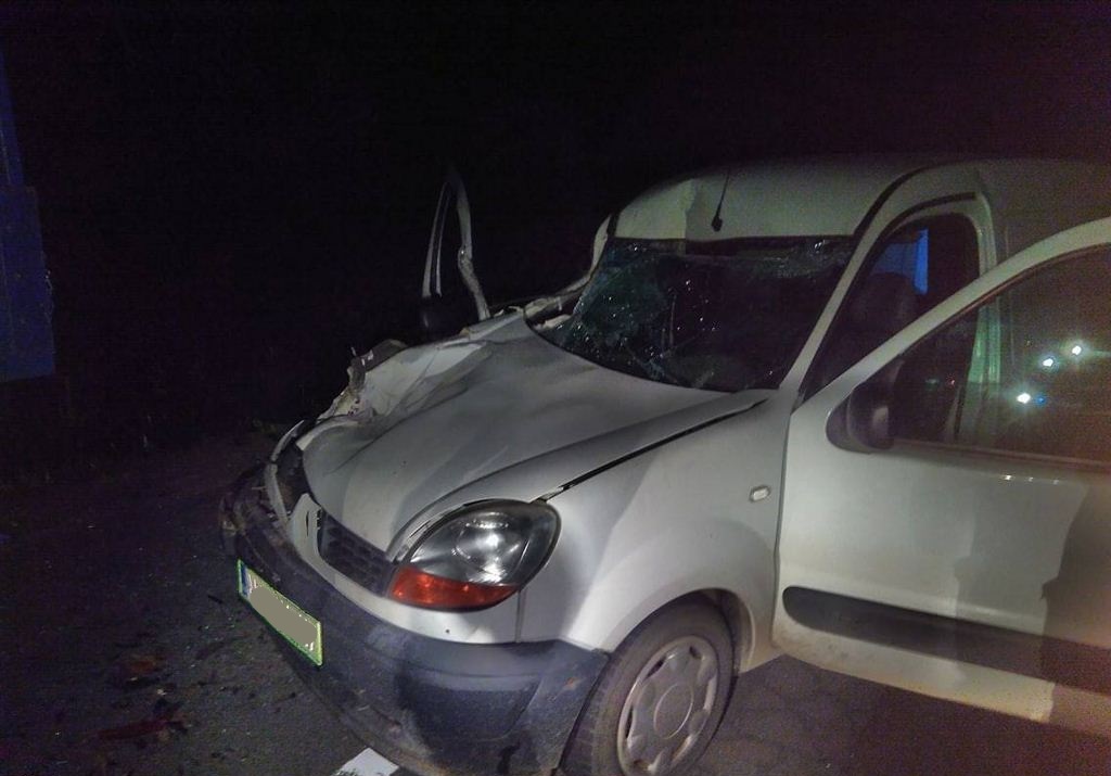 FOTO: Velika Polana – Gomilica: S Kangoojem v premični čebelnjak
