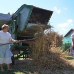 VIDEO, FOTO: Mlatenje žita na 105 let stari mlatilnici