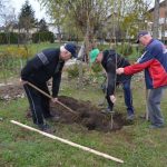 FOTO: Martinovanje in krst mošta pripravili tudi v Dobrovniku FOTO: V štirih vaseh zasadili skupno osemdeset dreves