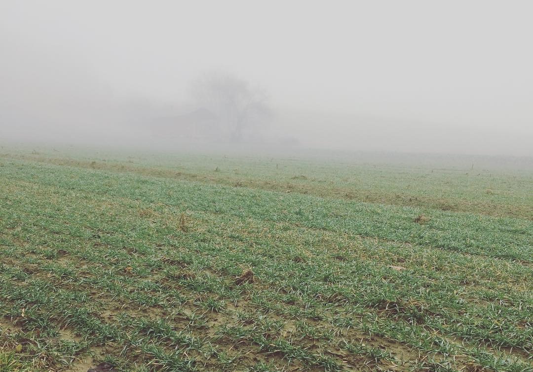 Do konca januarja še naprej mila zima