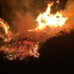 VIDEO, FOTO: Požar v Pincah ob avtocesti
