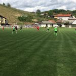 FOTO: Remi pod lendavskimi goricami cente-dolgaVAs1024
