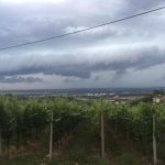 Preteklih 24 Pred nami teden nižjih temperatur