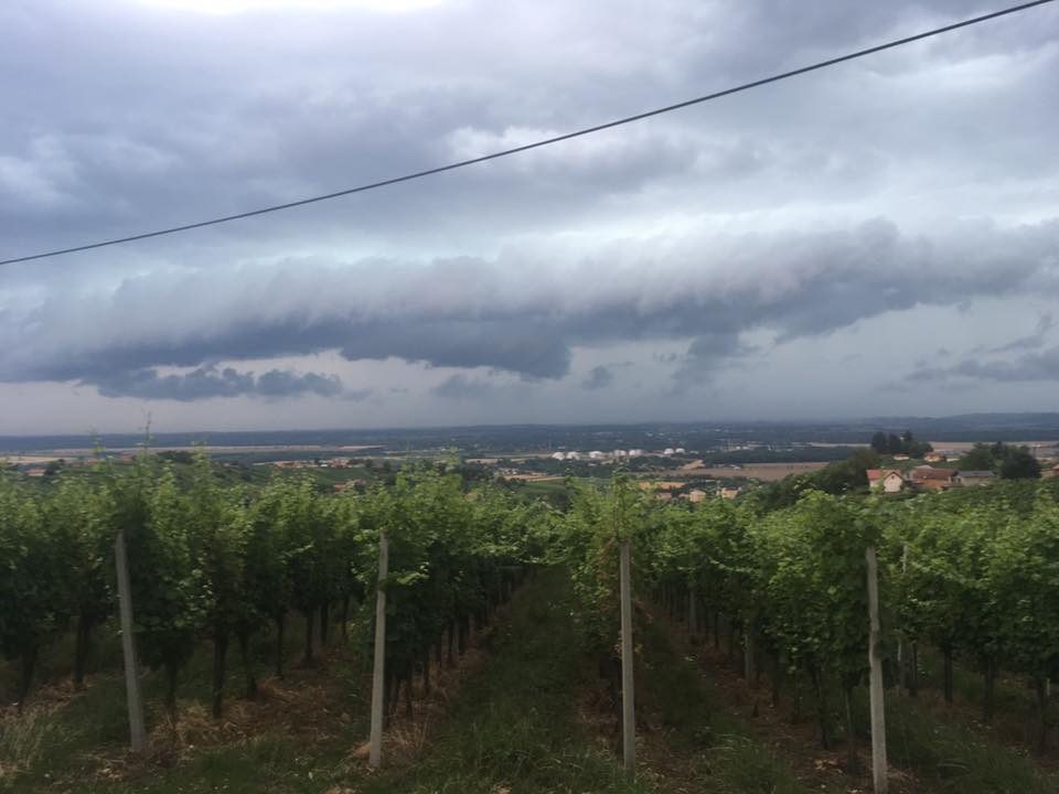 Na današnjo “Zofko” lahko pričakujemo nekaj dežnih kapelj