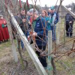 V murskosoboški bolnišnici se je mudil predsednik državnega zbora FOTO: Blažev pohod v Čentibi in rez vinske trte