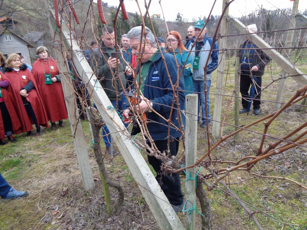 FOTO: Blažev pohod v Čentibi in rez vinske trte FOTO: Blažev pohod v Čentibi in rez vinske trte