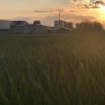 Po lanskih uspehih nad Pomurskim sejmom spet pozitivna energija in optimizem Po pozebi bodo kmetovalci, kot kaže, imeli težave še s sušo