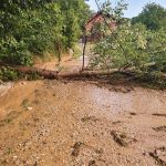FOTO: Nevihtna celica, ki je včeraj potovala nad Goričkim, za seboj puščala točo, sodro, podrta drevesa, uničene poljščine, …