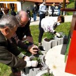 Porabje: Na Slovenski vzorčni kmetiji na svetovni dan čebel uredili medoviti vrtiček
