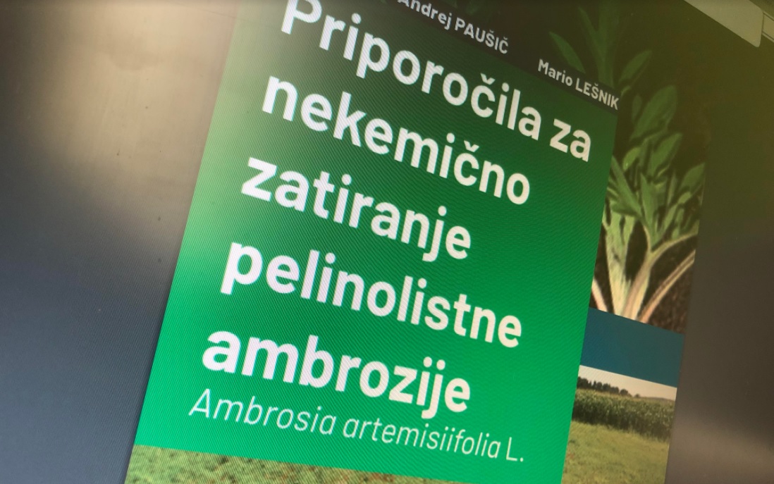 Lendavčan Andrej Paušič ter Mario Lešnik izdala monografijo “Priporočila za nekemično zatiranje pelinolistne ambrozije”