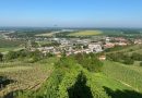 (Sedaj že bivša) Vlada odgovorila na pobudo državnih svetnikov po obisku Pomurja