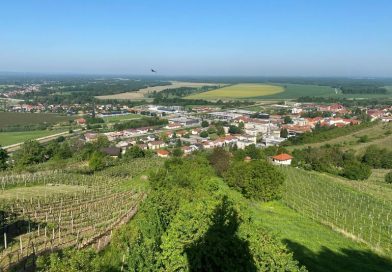 (Sedaj že bivša) Vlada odgovorila na pobudo državnih svetnikov po obisku Pomurja
