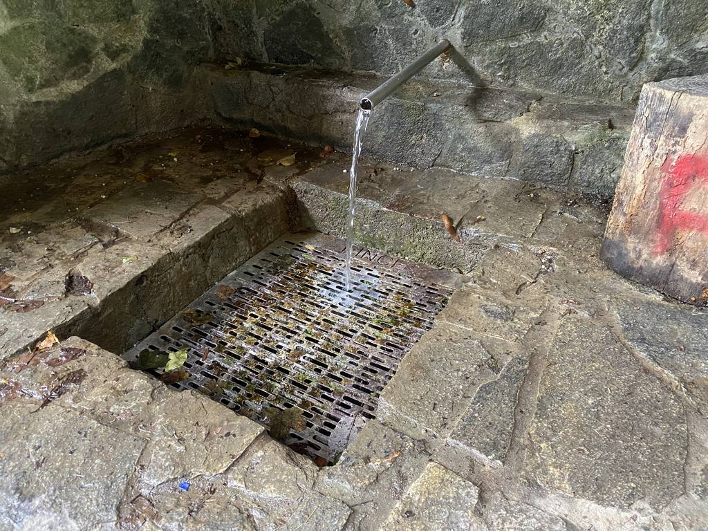 Kakšna je ustreznost vode na “Treh izvirih,” v Dolgovaških goricah in na izviru v Pincah? Dva izvira nista ustrezna!