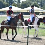 Preteklih 24 FOTO: Nasproti Term Lendava se odvija Pomurski galop