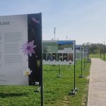 Ob Soboškem jezeru razstava “Semena za življenje”