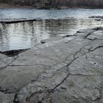 FOTO: Zelo nizek vodostaj reke Mure odkriva ostanke iz miocena