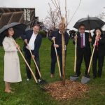 FOTO: Murska Sobota: Odprtje razstave in mlada japonska češnja ob Expanu