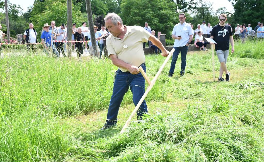 V Gornjem Lakošu bo znova zadišalo po tradiciji – prihaja 4. mednarodno tekmovanje v košnji trave z ročno koso! V Gornjem Lakošu bo znova zadišalo po tradiciji – prihaja 4. mednarodno tekmovanje v košnji trave z ročno koso!