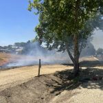 FOTO: Gasilci iz Lendave in Čentibe gasili goreče polje, večji požar preprečil bagerist
