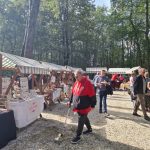 Za naziv Naj kulturna šola 2025 se poteguje tudi lendavska devetletka FOTO: V Parku prijateljstva se je minulo nedeljo odvil Brezmejni sejem