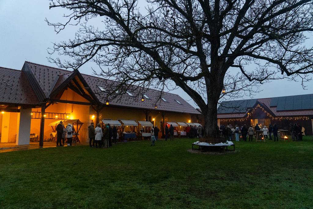 FOTO: V Dobrovniku se je odvil prvi božični rokodelski sejem FOTO: V Dobrovniku se je odvil prvi božični rokodelski sejem