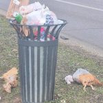 Med nakupovalnim središčem Ledava in Dvojezično srednjo šolo Lendava pravo smetišče, obrnili smo se na Eko-Park