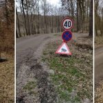 Tudi na območju Bukovniškega jezera pristopili k ureditvi in zagotavljanju varnejše selitve dvoživk